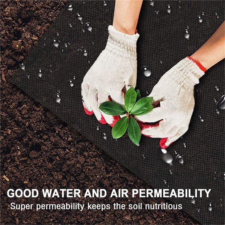 biodegradable packaging materials