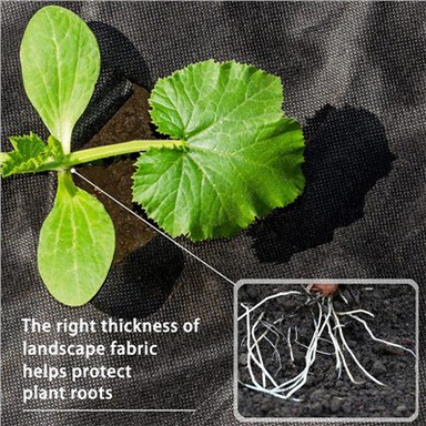 Lífbrjótanlegt mulching lak